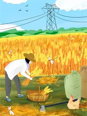 抖音热门(新年红包又抽到一分钱，我花几十万去旅游)全本阅读_抖音热门最新热门小说