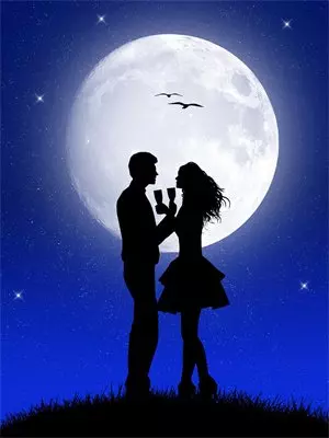 无声证词：谁是下一个？沈辰林晓雨热门小说阅读_好看的小说推荐完结无声证词：谁是下一个？沈辰林晓雨